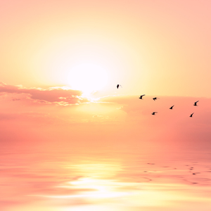 美女脱衣服色色性爱网站视频
